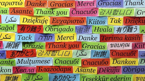 Międzynarodowy Dzień Języka Ojczystego, święto obchodzone 21 lutego, które zostało ustanowione przez UNESCO w 1999 roku./