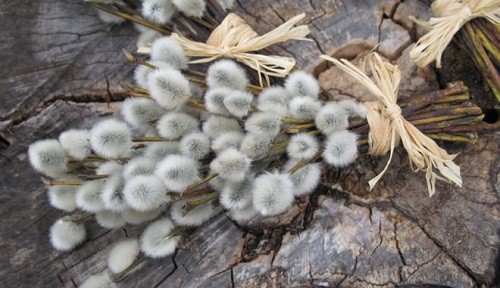 ������ �����, ��� �� ��������� ������